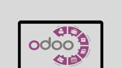 Odoo Implementation Services